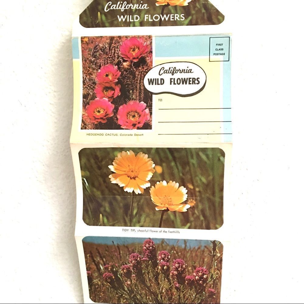 Vintage California wildflower postcard set‎